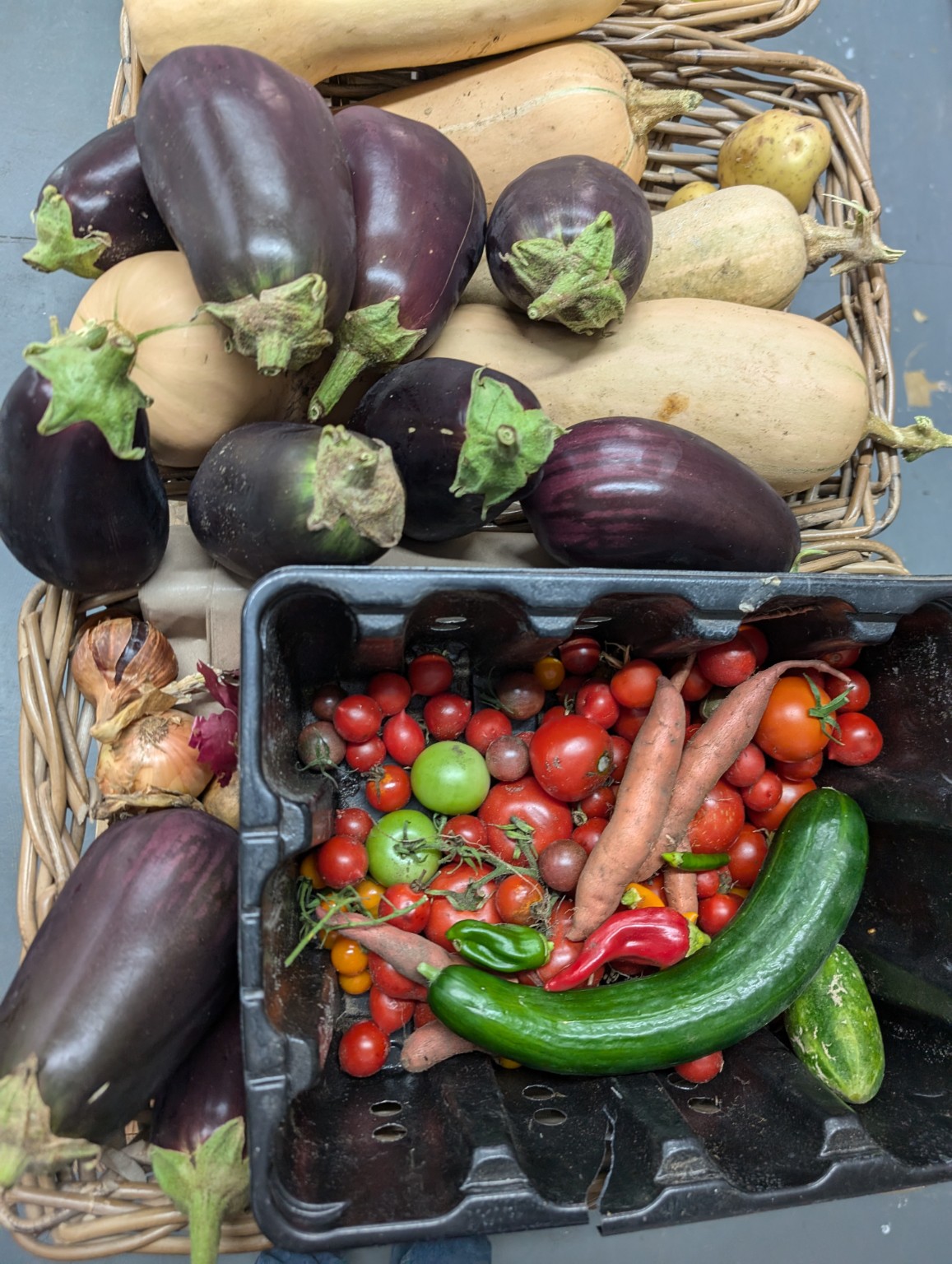 Freshly harvested tomatoes, peppers, aubergines and other vegetables