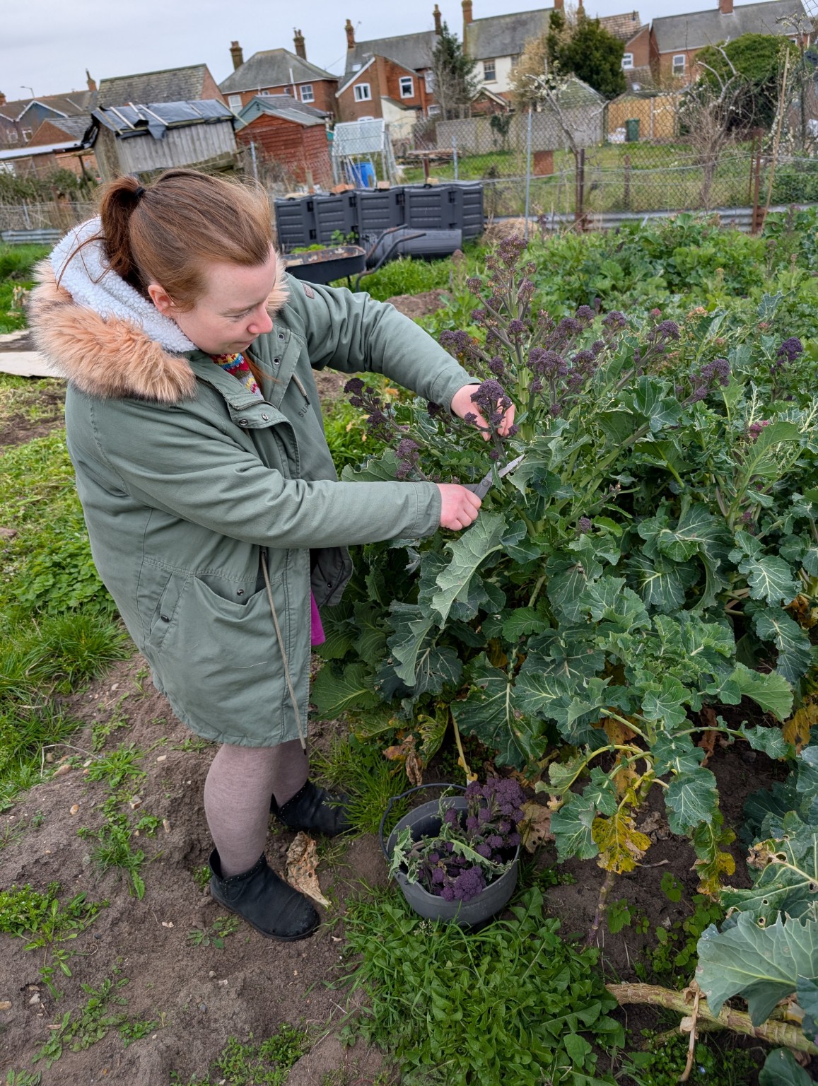 A young participant tending plants at The Leiston Land Army